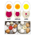 Egg Timer Perfect Color Changing Timer Yummy Soft Hard Boiled Eggs Cooking Kitchen Eco-Friendly Resin Egg Red Timer Tools - Minihomy